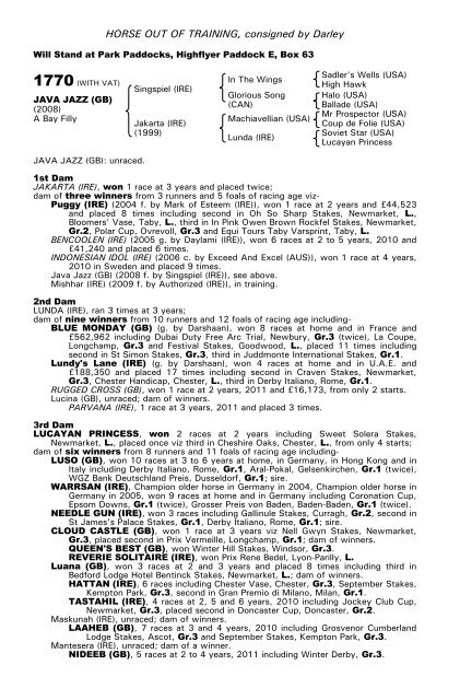 December Mare Sale - Tattersalls