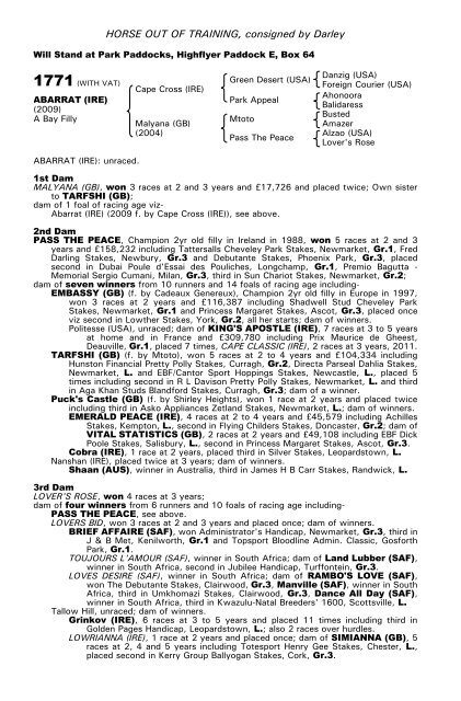 December Mare Sale - Tattersalls