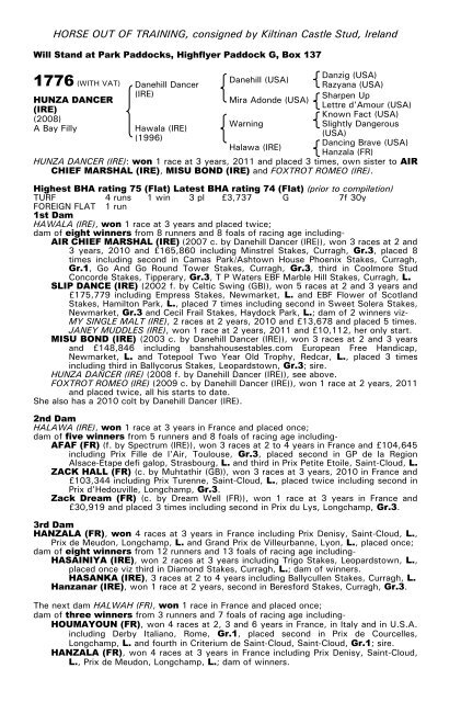 December Mare Sale - Tattersalls