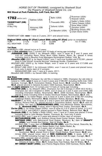 December Mare Sale - Tattersalls