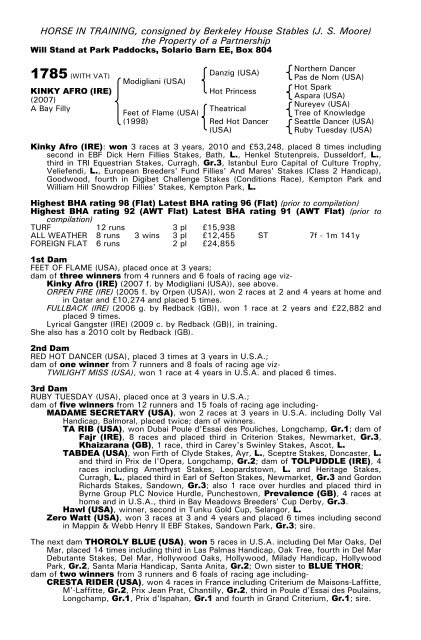 December Mare Sale - Tattersalls