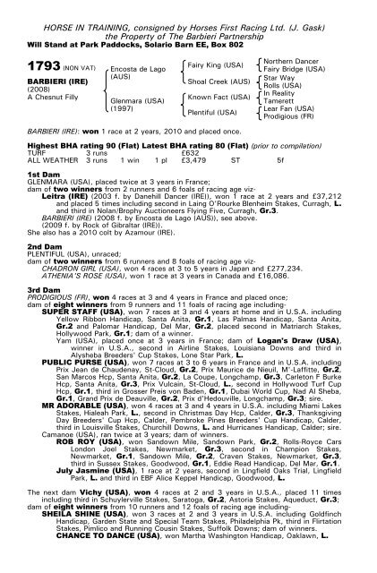 December Mare Sale - Tattersalls