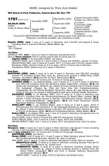 December Mare Sale - Tattersalls