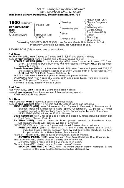 December Mare Sale - Tattersalls