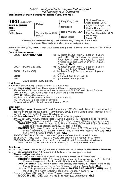 December Mare Sale - Tattersalls