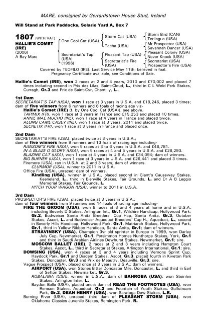 December Mare Sale - Tattersalls