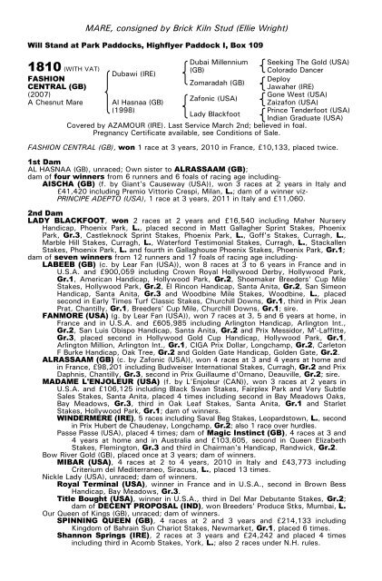 December Mare Sale - Tattersalls