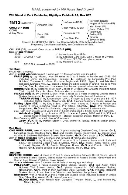 December Mare Sale - Tattersalls