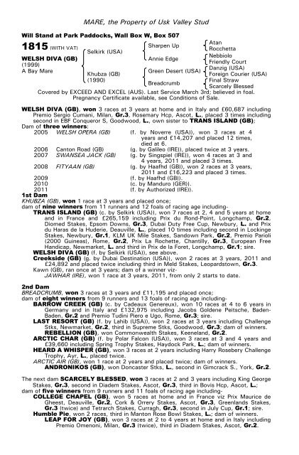 December Mare Sale - Tattersalls