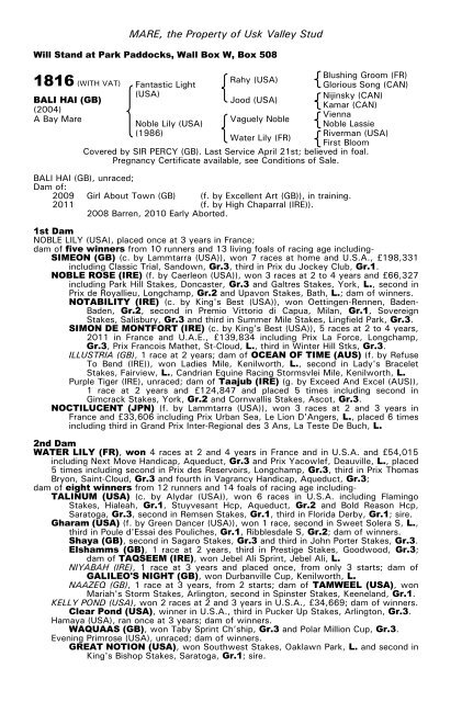 December Mare Sale - Tattersalls