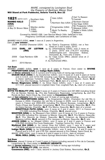 December Mare Sale - Tattersalls