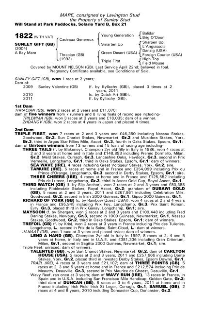 December Mare Sale - Tattersalls