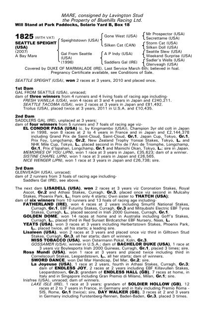 December Mare Sale - Tattersalls