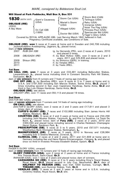 December Mare Sale - Tattersalls