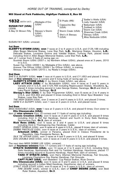 December Mare Sale - Tattersalls