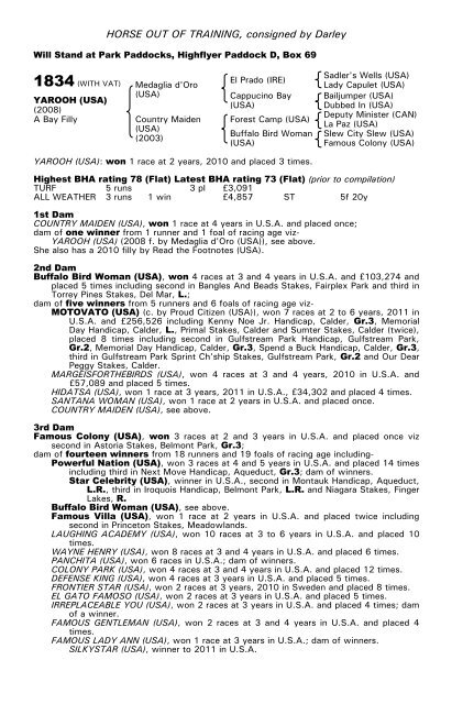 December Mare Sale - Tattersalls