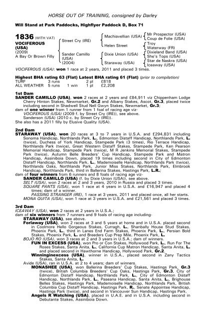 December Mare Sale - Tattersalls