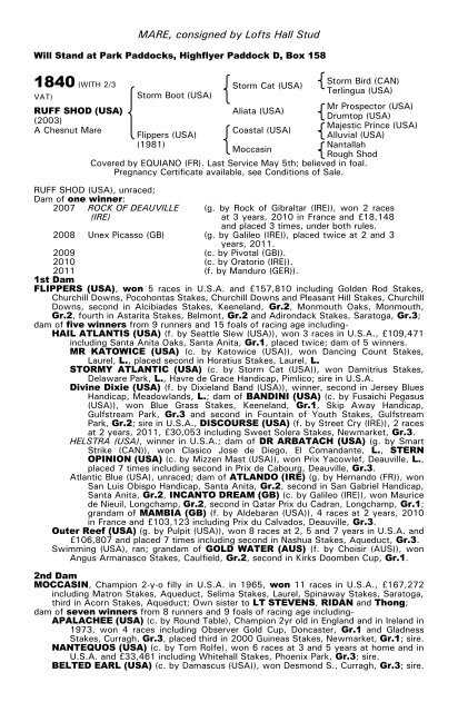 December Mare Sale - Tattersalls