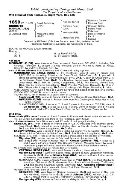 December Mare Sale - Tattersalls