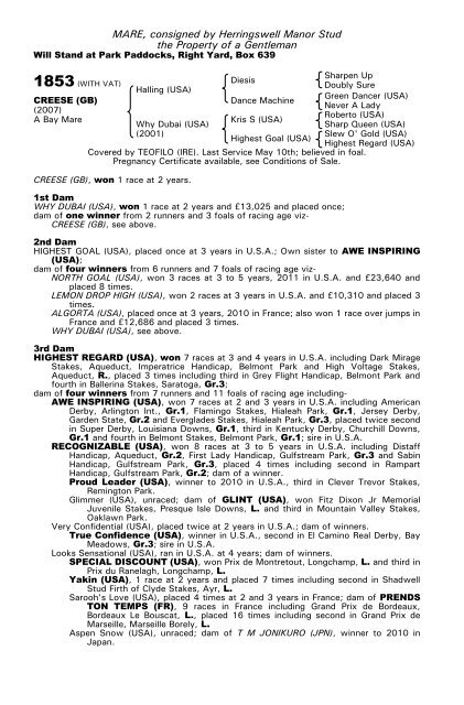 December Mare Sale - Tattersalls