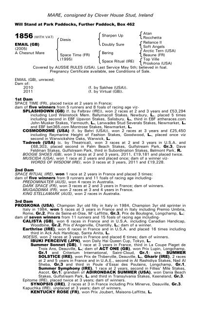 December Mare Sale - Tattersalls