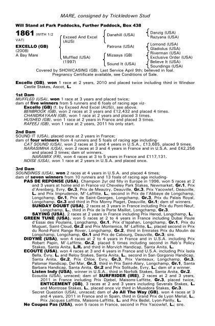 December Mare Sale - Tattersalls