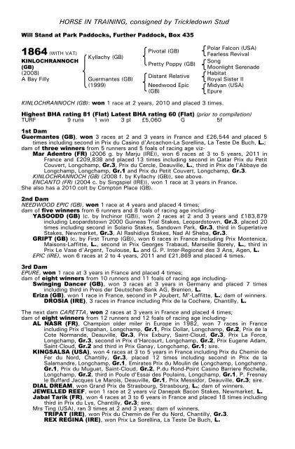 December Mare Sale - Tattersalls