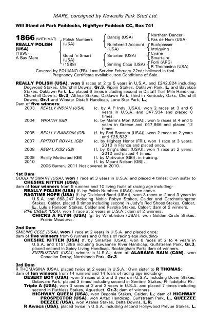 December Mare Sale - Tattersalls