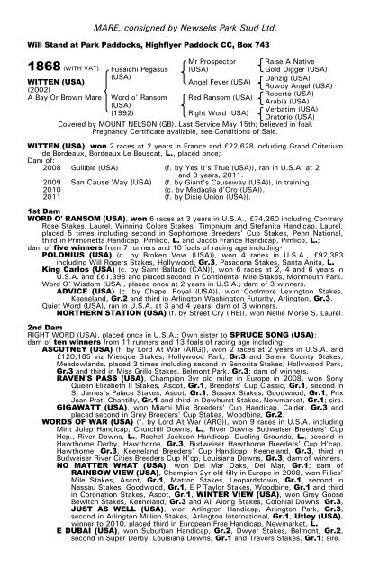 December Mare Sale - Tattersalls