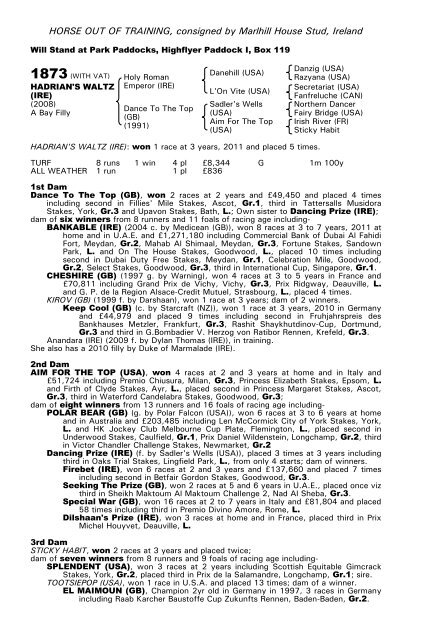 December Mare Sale - Tattersalls