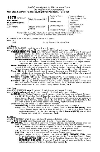 December Mare Sale - Tattersalls