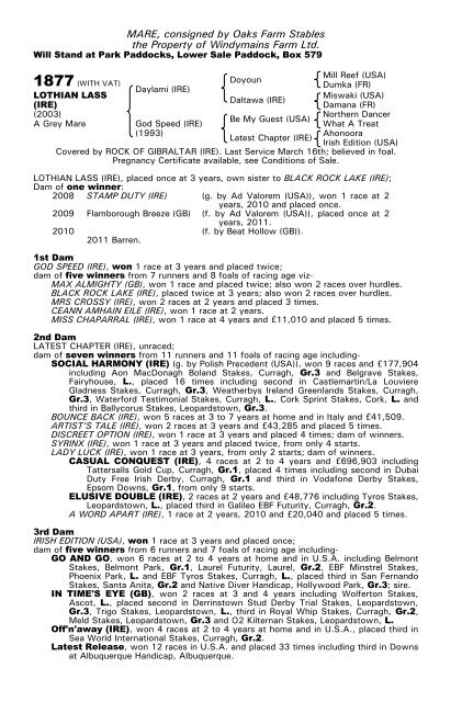 December Mare Sale - Tattersalls