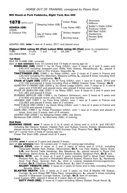 December Mare Sale - Tattersalls