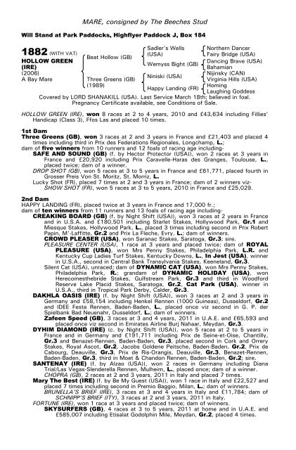 December Mare Sale - Tattersalls