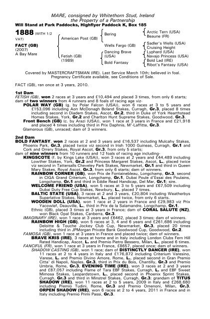 December Mare Sale - Tattersalls