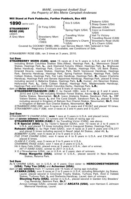 December Mare Sale - Tattersalls