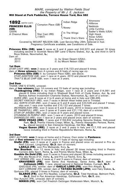 December Mare Sale - Tattersalls