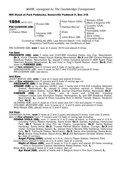 December Mare Sale - Tattersalls