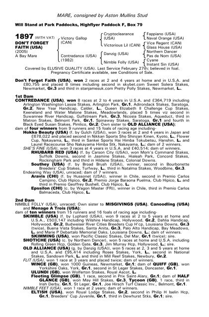 December Mare Sale - Tattersalls