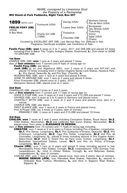 December Mare Sale - Tattersalls