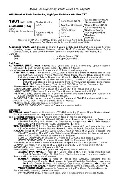 December Mare Sale - Tattersalls