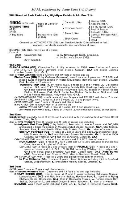 December Mare Sale - Tattersalls