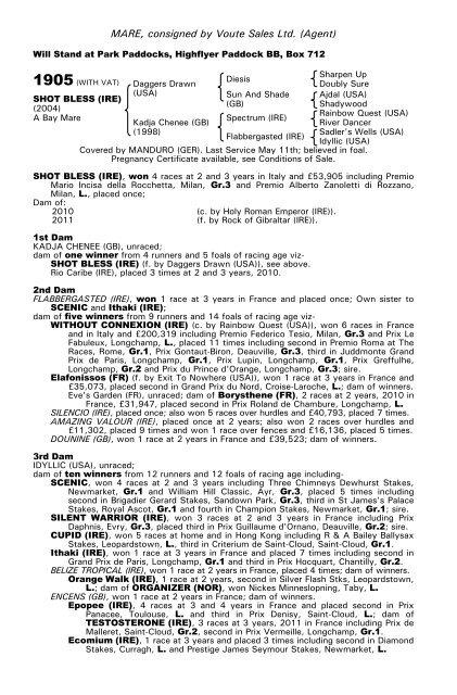 December Mare Sale - Tattersalls