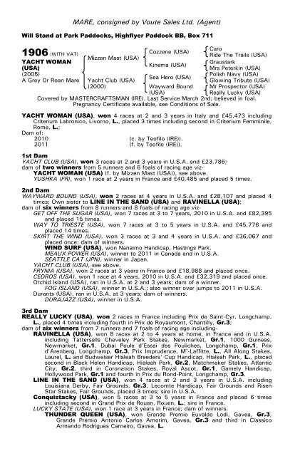 December Mare Sale - Tattersalls