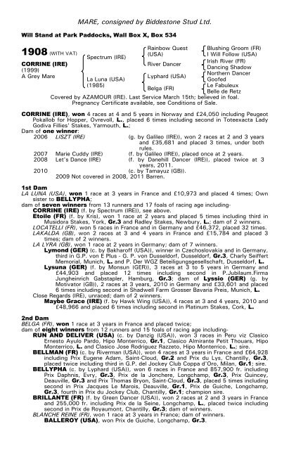 December Mare Sale - Tattersalls