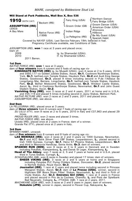 December Mare Sale - Tattersalls