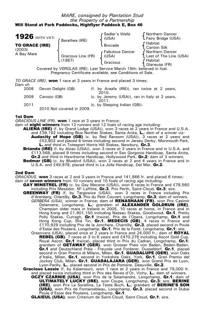 December Mare Sale - Tattersalls