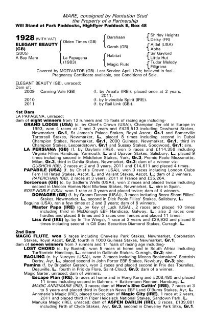 December Mare Sale - Tattersalls