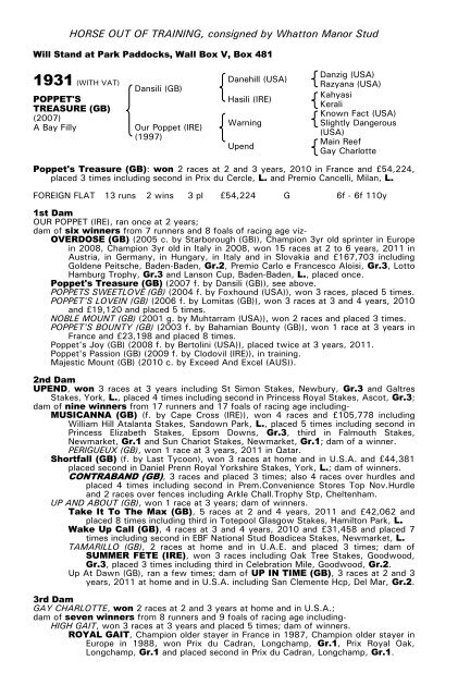 December Mare Sale - Tattersalls