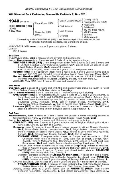 December Mare Sale - Tattersalls